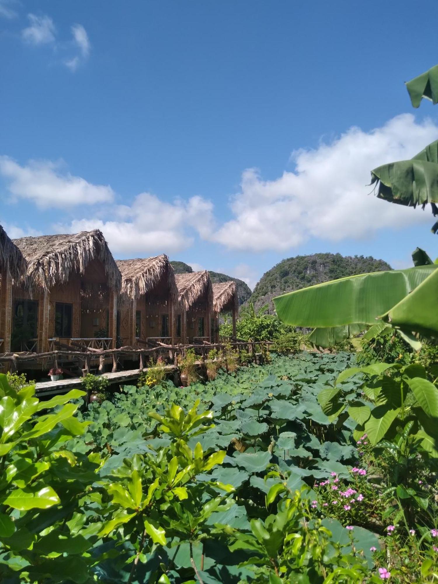 Hang Mua Lotus Homestay Ninh Binh Exterior foto